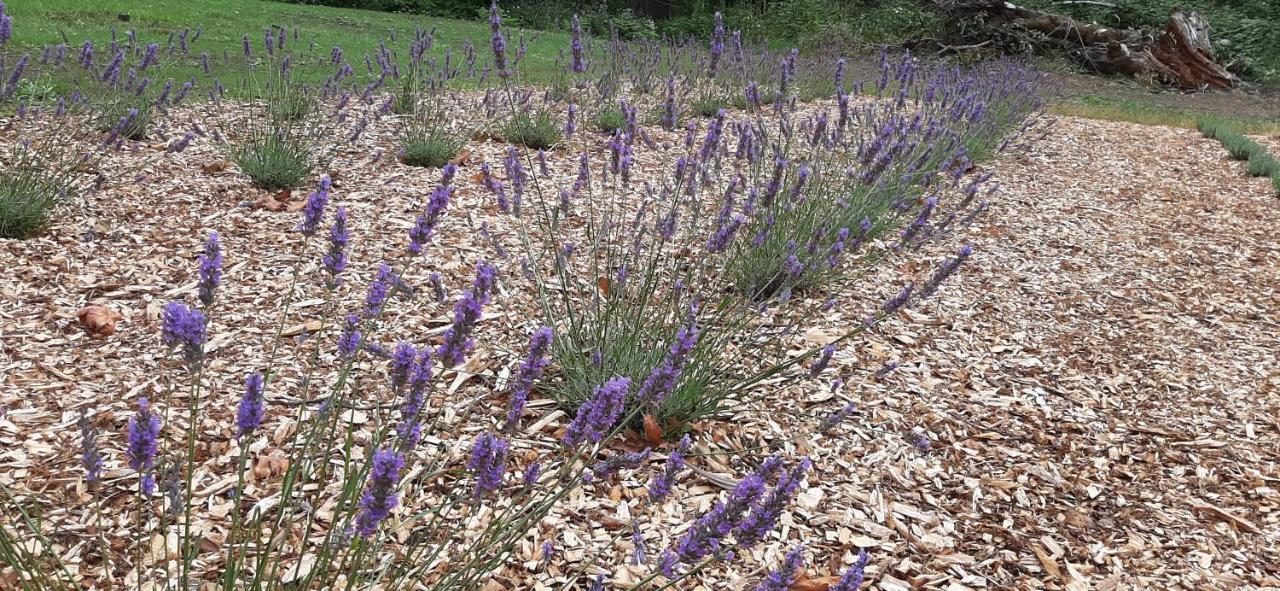 Angels Rest B&B Lavender Farm Skamania エクステリア 写真